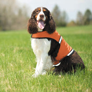 Insect Shield Insect Repellant Protective Safety Vest for Protecting Dogs XXL