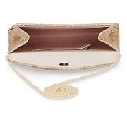 Adrianna Papell Seta Lace Small Envelope Clutch