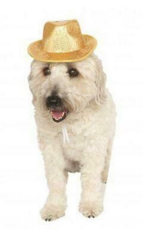 Rubie's Fedora Pet Costume Accessory, Medium/Large, Gold Sequin